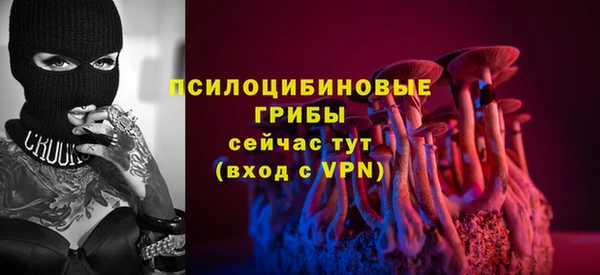 крисы Магадан