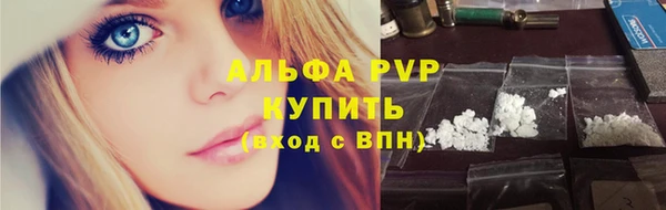мдпв Магас