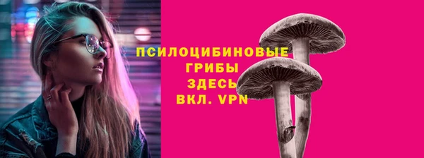 мдпв Магас