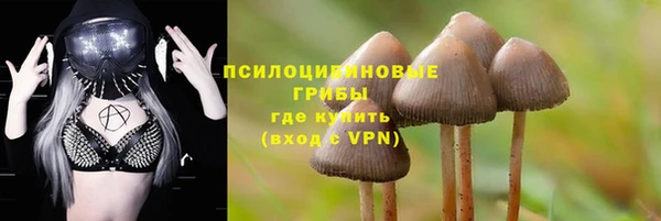 эйфоретик Майский