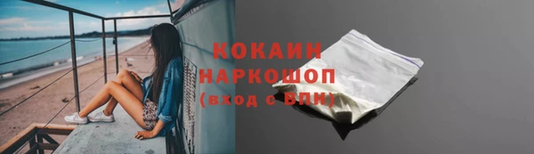 крисы Магадан
