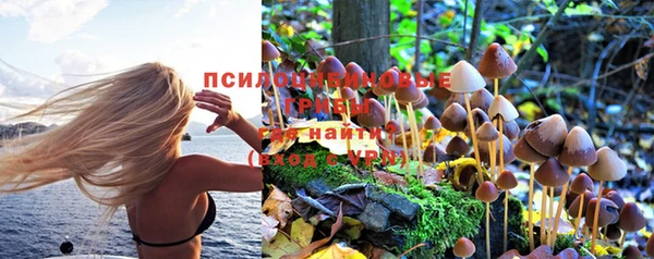 эйфоретик Майский