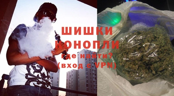 крисы Магадан