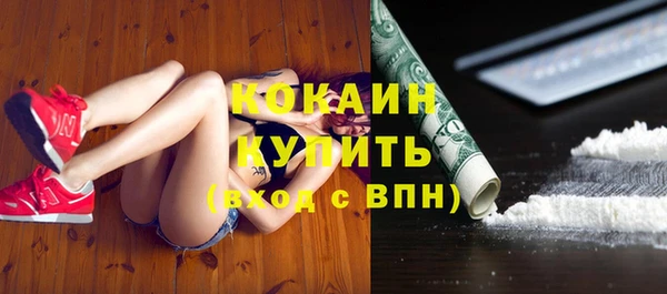 крисы Магадан
