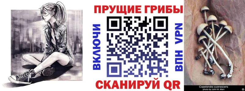 Галлюциногенные грибы прущие грибы Райчихинск